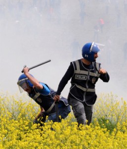 A policeman appears to beat flowers for article listing hay fever inducing flowers.